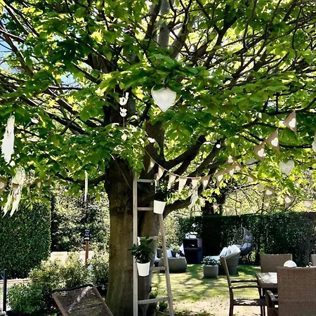 Ma Maison *